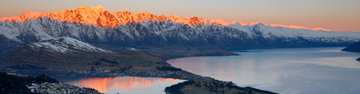 New Zealand Amplified