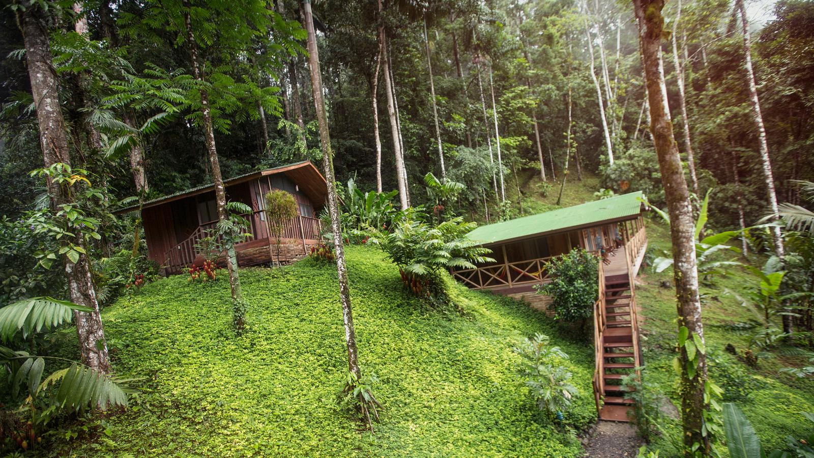 Looking out across the lush, green forest that sits at the bottom of Arenal Volcano, which stands tall into the bright blue sky above on a bright day in Zona Norte, Costa Rica