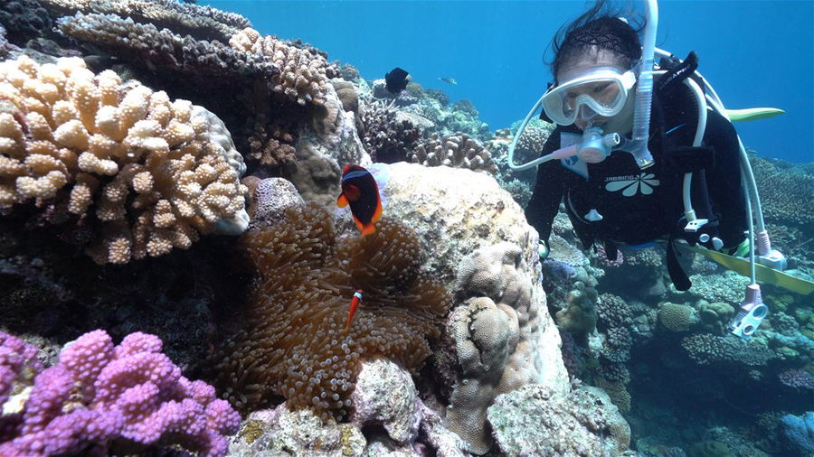 Scuba diving in Okinawa, Japan