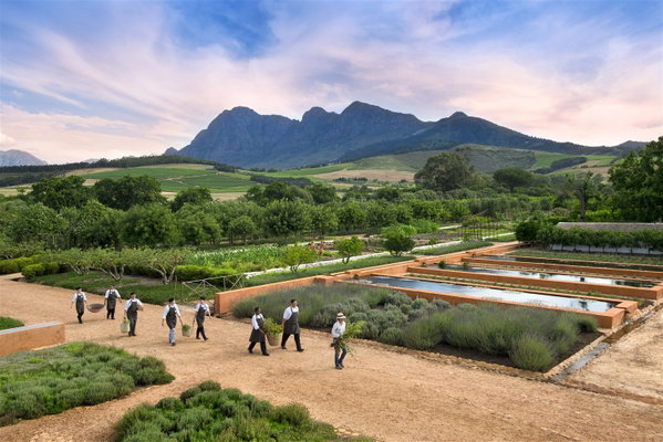 Babylonstoren Farm Hotel