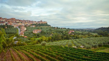 Tuscany to Cinque Terre: Wines, Villages & Unforgettable Walks
