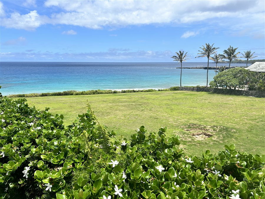 A beach in Maui Hawaii on a sunny day