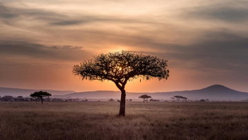 Signature: Tanzania's Serengeti, Tarangire & Ngorongoro Crater