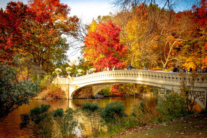 Central Park, New York