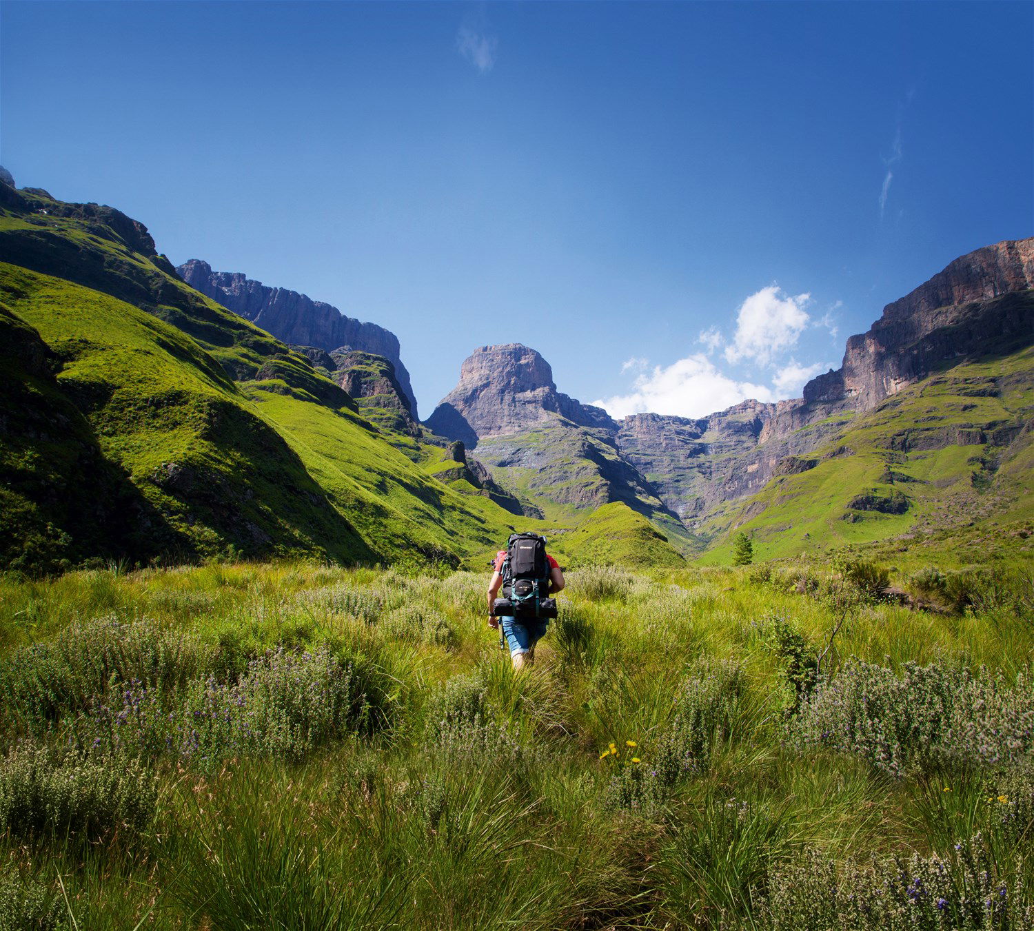 drakensberg guided tour