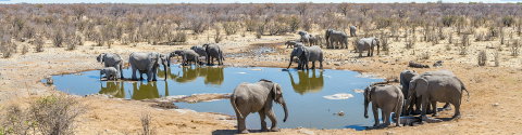 South Africa Family Safari with Teenagers