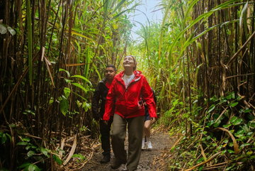 Premium Costa Rica: Tortuguero and Caribbean Coast