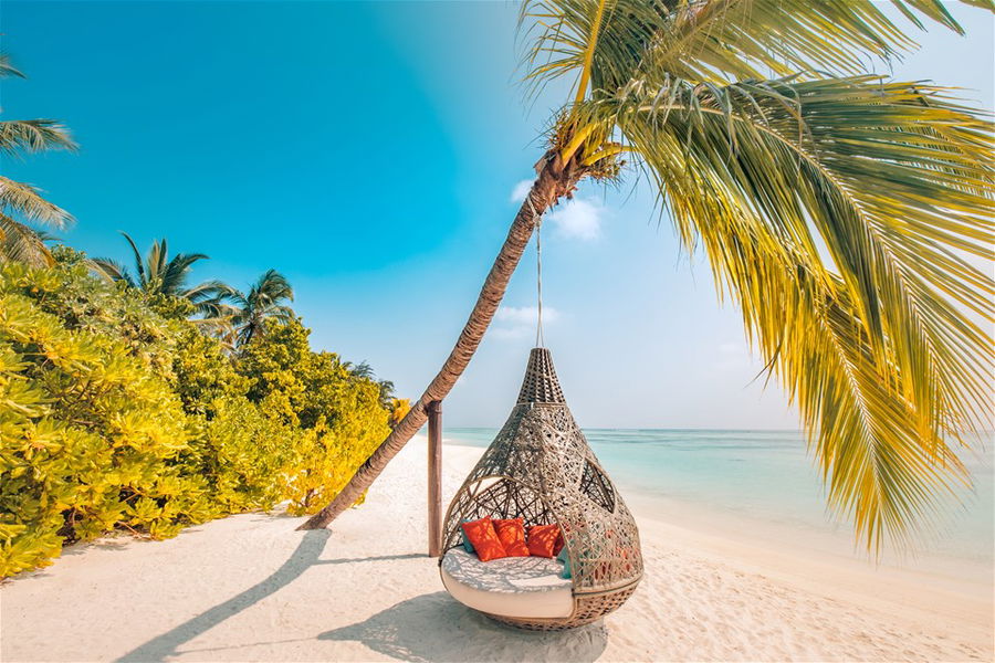 A hammock under a palm tree on a perfect white beach in the Maldives