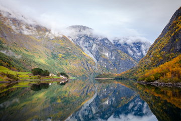 Premium Scandinavia