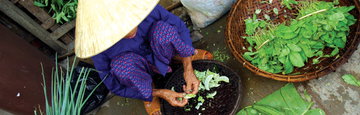 Vietnam & Cambodia Real Food Adventure