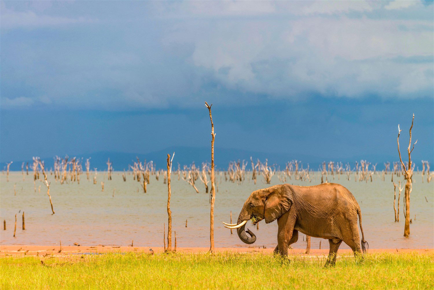 Zimbabwe Holidays 2025/2026 | Trailfinders