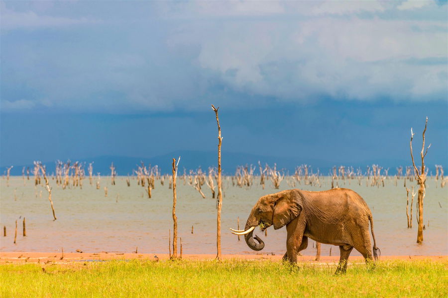 Zimbabwe Holidays 2025/2026 | Trailfinders