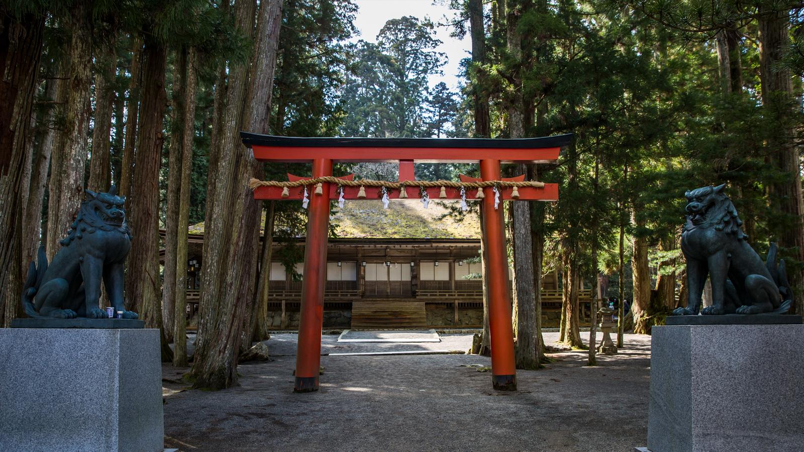 The Floating Torii gate in Miyajima, Japan