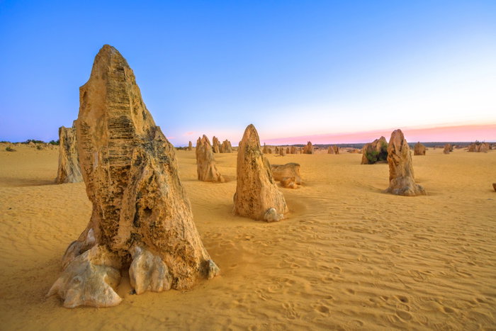 afternoon, attraction, australia, australian, best, cervantes, colors, desert, destination, dusk, erosion, evening, famous, formations, geology, giant, landscape, limestone, nambung, nambung national park, national, np, outback, outdoor, park, pillar, pinnacles, pinnacles desert, place, popular, rock, sand, stalagmite, stone, sunset, the pinnacles, tourism, touristic, travel, twilight, wa, west, western, western australia, signature