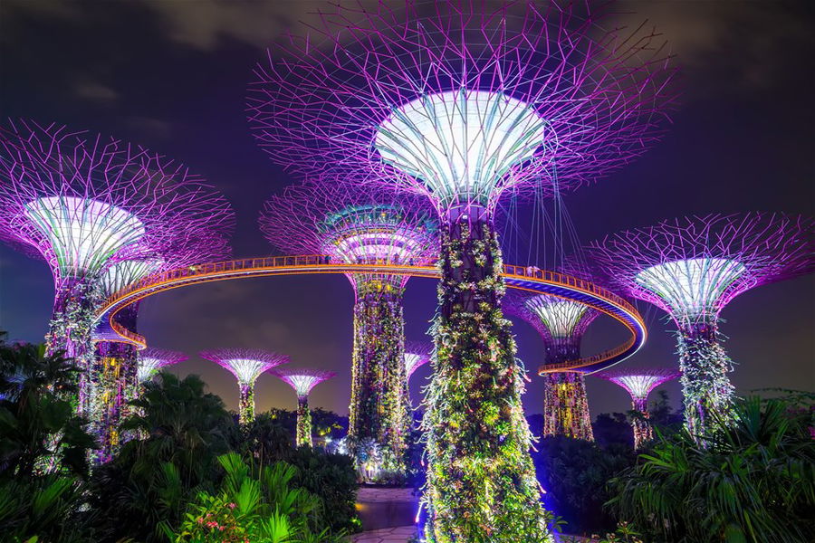 Supertree garden at night, garden by the bay, Singapore