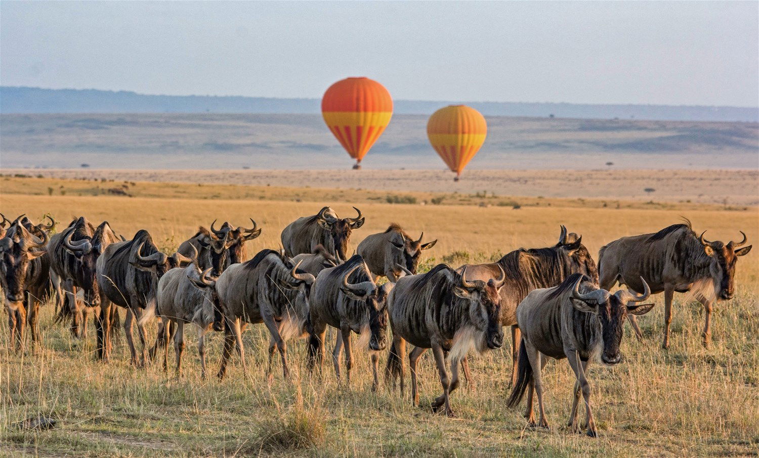 A Kenyan Odyssey to the Mombasa Coast (small group) | Trailfinders