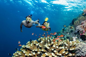 Cairns to Sydney Adventure