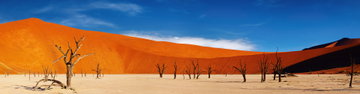 Premium Namibia
