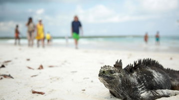Solo-ish Galapagos