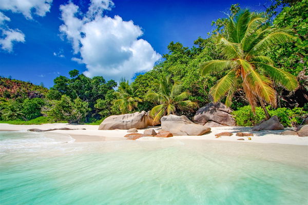 Seychelles Holidays 2024/2025 | Trailfinders