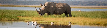 Premium Kenya & Tanzania