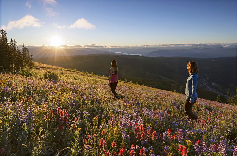 A couple hiking in Whistler, Canada