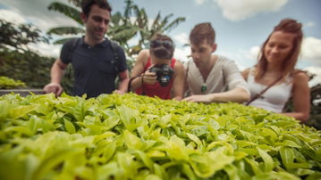 Colombia Express