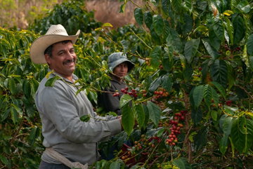 Discover Guatemala, Honduras & El Salvador
