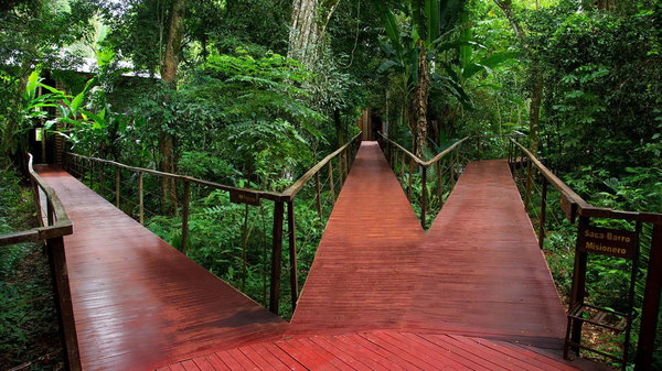 La Reserva Virgin Lodge