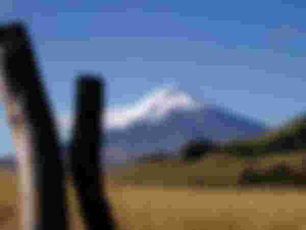 Cotopaxi National Park