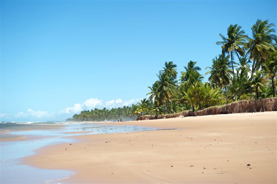 Marau Peninsula, Bahia State, Brazil