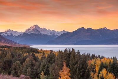 New Zealand – All Your Holidays In One Place