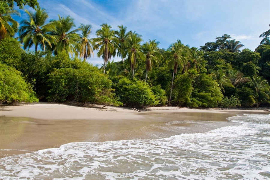 A beautiful deserted beach backed by rainforest in Manuel Antonio National Park, Costa Rica