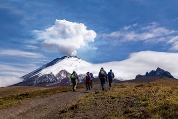 Premium Ecuador