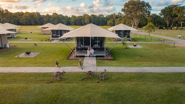 Habitat Noosa