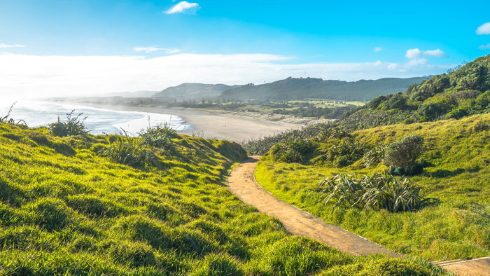 Scenery over looking of Muriwai Beach from top of the hill