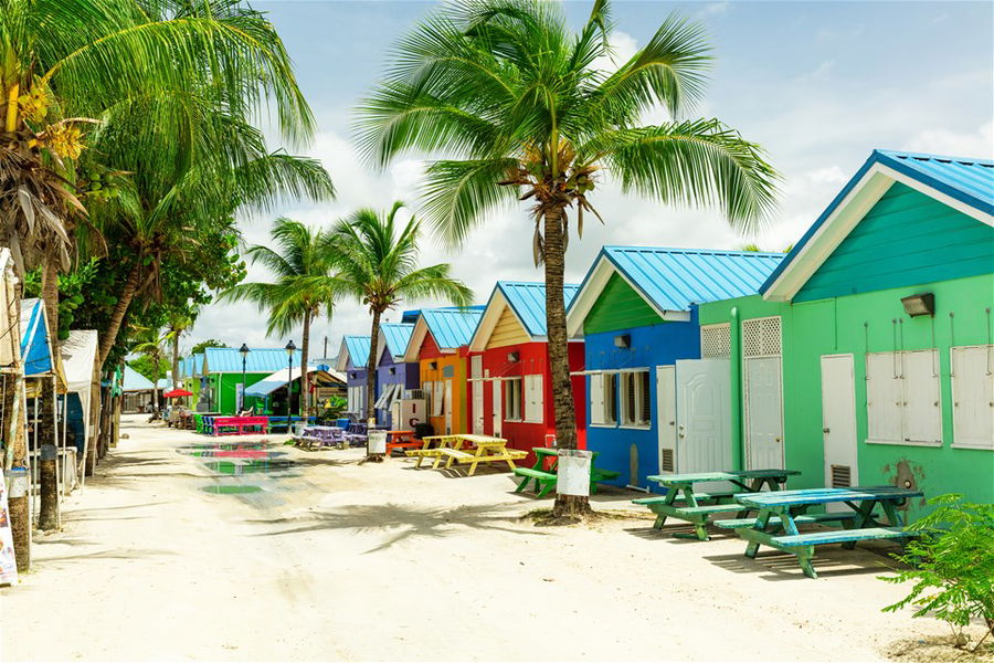 Colourful houses on the tropical island of Barbados