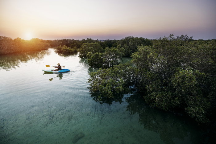 Kayaking at Jubail Mangrove Park
