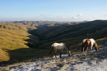 Indonesia: Sumba Island Discovery