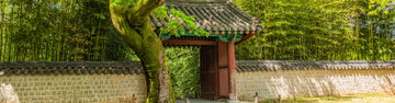18 to 35s Essential South Korea