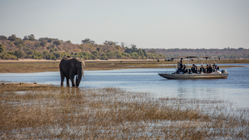Complete Botswana: National Parks & Delta Wildlife