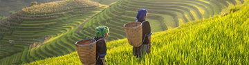 Thailand Independent Short Break: Chiang Mai & Hilltribe Trek