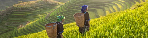 Thailand Independent Short Break: Chiang Mai & Hilltribe Trek