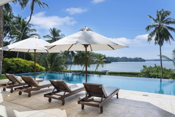 Frangipani
