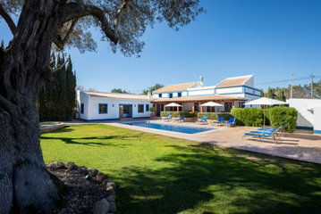 Casa Lirio
