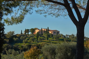 Poggio Morellino