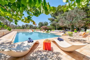 The Olive Grove