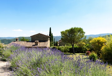 Casa del Cavaliere