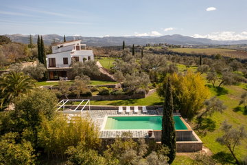 El Olivar