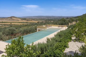 The Olive Court